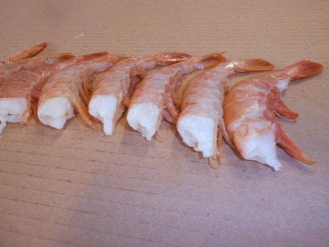 Shrimp
